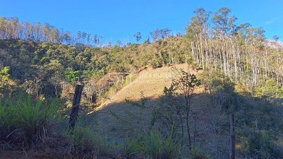 Fazenda, 337 hectares - Foto 4
