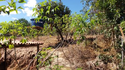 Chácara, 1 quarto - Foto 3