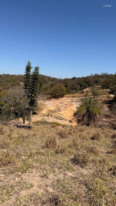 Terreno, 8000 m² - Foto 4