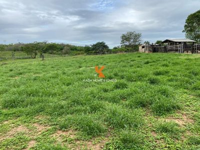 Fazenda, 4 quartos - Foto 2