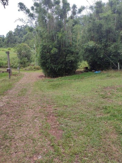 Chácara, 3 quartos, 20 hectares - Foto 3