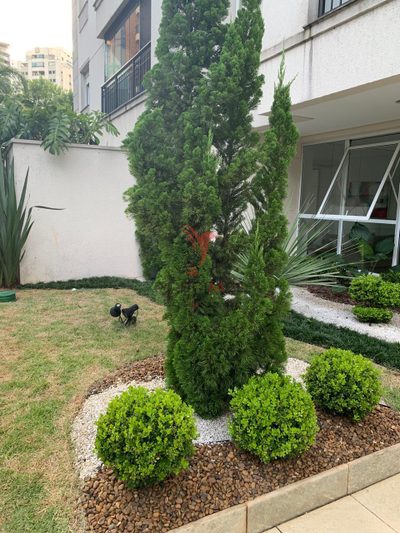 Apartamento, 3 quartos, 72 m² - Foto 3