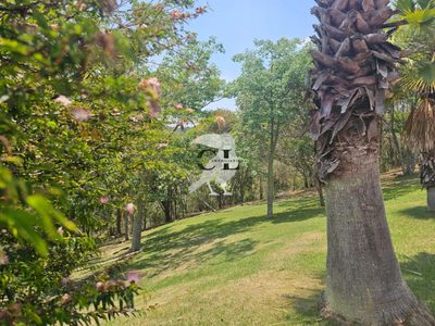 Terreno, 3889 m² - Foto 4