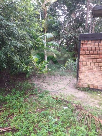Terreno, 6200 m² - Foto 3