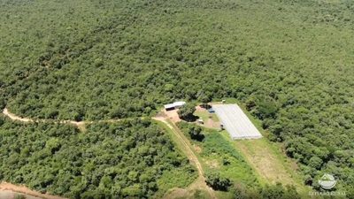 Fazenda, 690 hectares - Foto 5