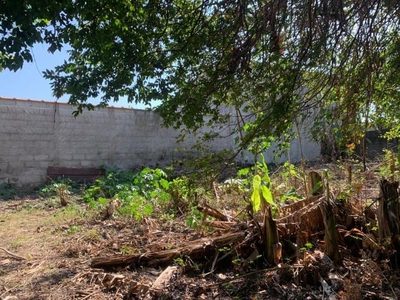 Terreno - Foto 4