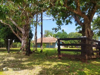 Chácara, 53 hectares - Foto 3