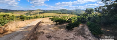 Fazenda, 945 hectares - Foto 5