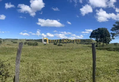 Fazenda, 252 hectares - Foto 3