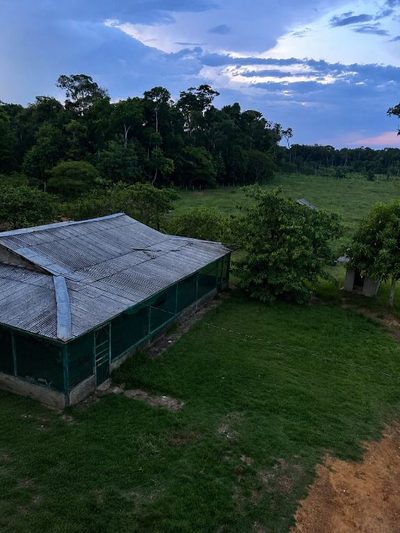 Fazenda, 279 m² - Foto 2