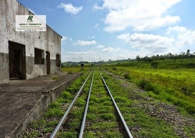 Terreno, 85 hectares - Foto 3