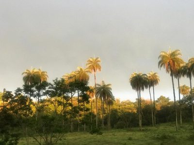 Terreno, 250000 m² - Foto 1