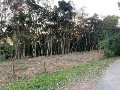 Terreno, 1 hectares - Foto 3