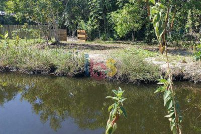 Terreno, 300 m² - Foto 3