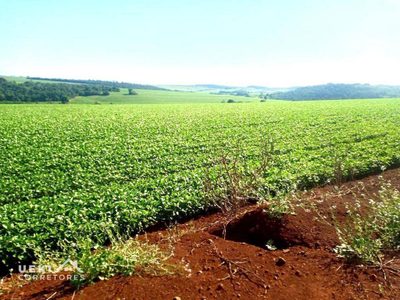 Sítio, 31 hectares - Foto 2
