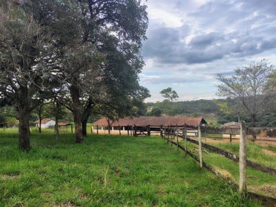 Chácara, 1 quarto, 202 hectares - Foto 2