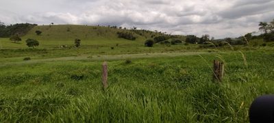 Fazenda, 300 m² - Foto 2