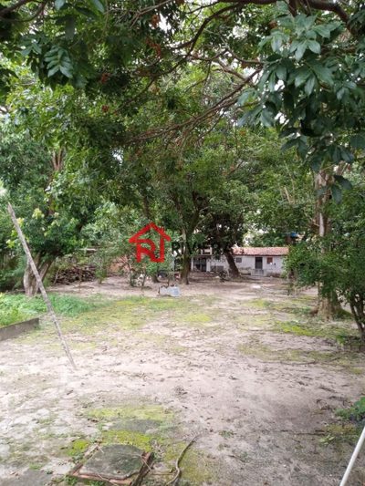 Terreno, 3000 m² - Foto 5