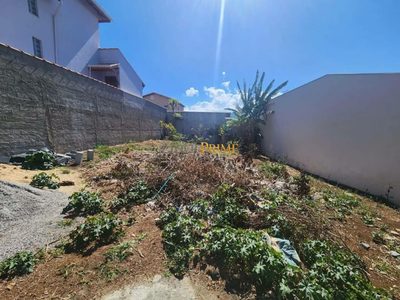 Terreno, 300 m² - Foto 3
