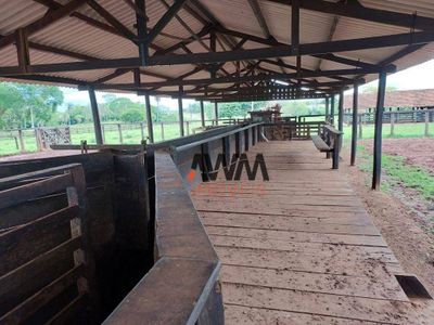 Fazenda, 2575 hectares - Foto 4