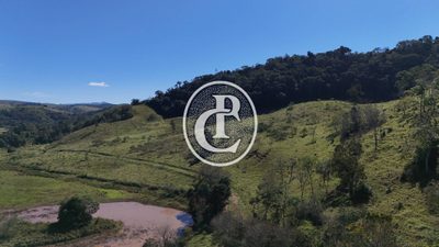 Fazenda, 8 hectares - Foto 4