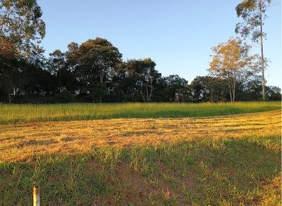 Terreno, 1000 m² - Foto 2