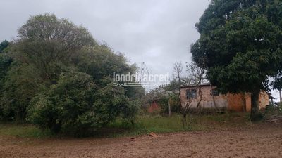 Sítio, 1 quarto, 12 hectares - Foto 5