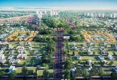 Terreno, 250 m² - Foto 3