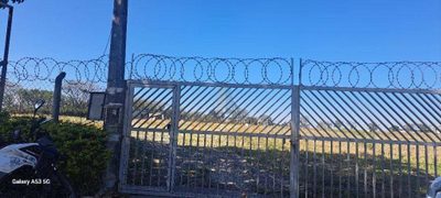 Terreno, 6 hectares - Foto 4
