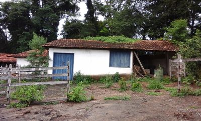 Terreno, 4000 m² - Foto 4