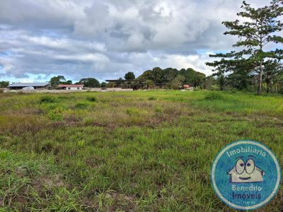 Loteamento e Condomínio, 1 hectares - Foto 1
