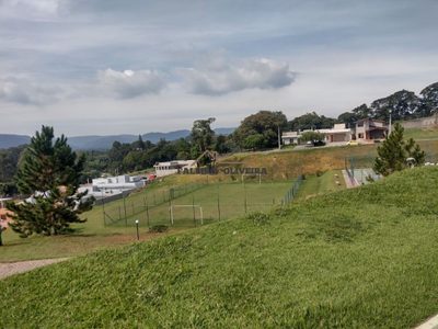 Terreno, 250 m² - Foto 3
