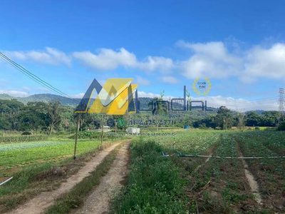 Terreno, 19 hectares - Foto 3