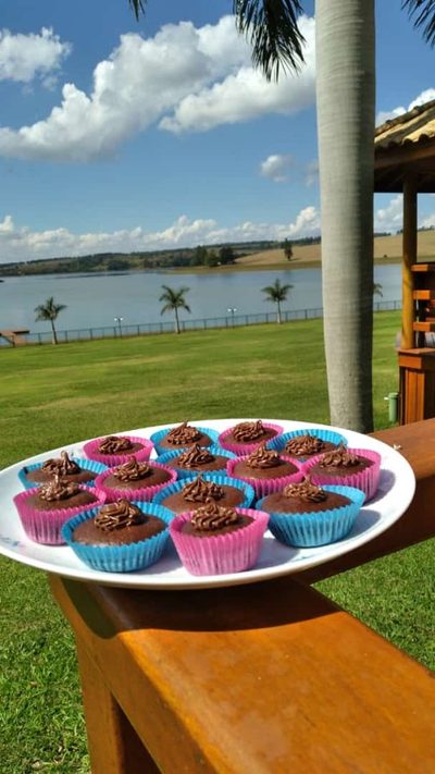Fazenda, 8 hectares - Foto 4