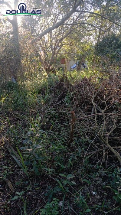Terreno, 480 m² - Foto 3