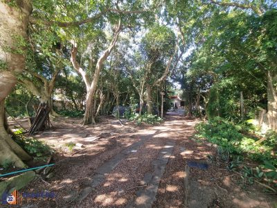 Terreno, 972 m² - Foto 5