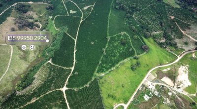 Chácara, 1 quarto, 32 hectares - Foto 3