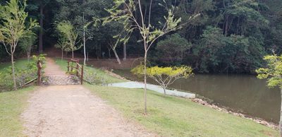 Terreno, 100 m² - Foto 4