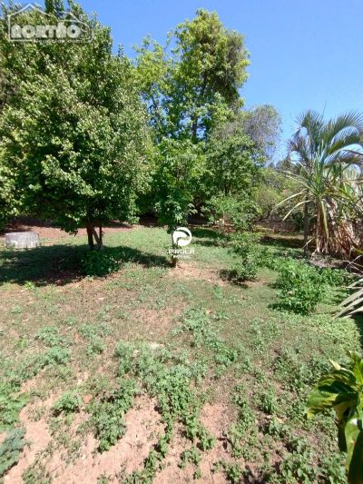 Casa, 2 quartos, 1000 m² - Foto 4