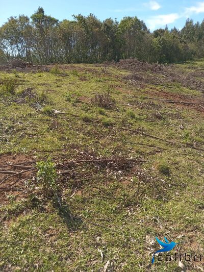 Terreno, 5 hectares - Foto 3