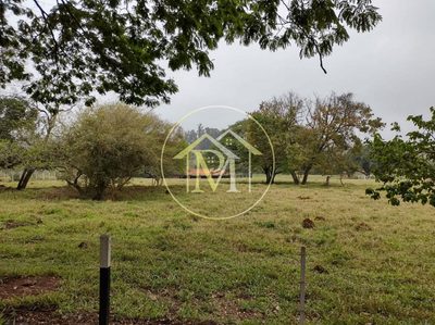 Sítio, 3 quartos, 5 hectares - Foto 4