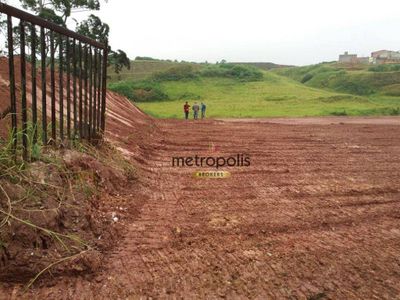 Terreno, 4445 m² - Foto 3