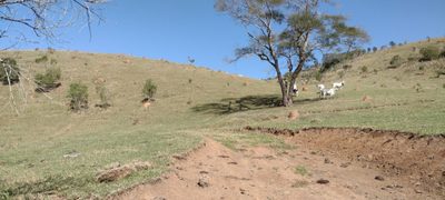 Fazenda, 254100 hectares - Foto 2