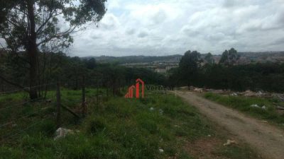 Terreno, 11 hectares - Foto 2