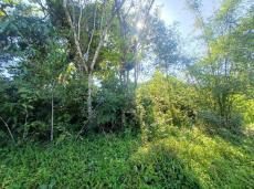 Terreno, 280 m² - Foto 4