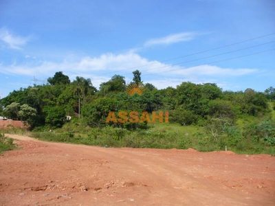 Terreno, 8 hectares - Foto 3