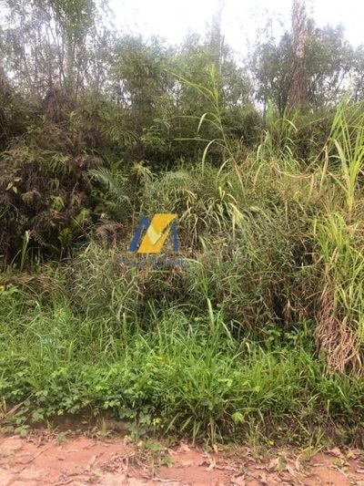 Terreno, 7350 m² - Foto 4