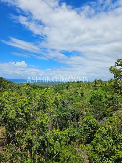 Terreno, 3 hectares - Foto 4