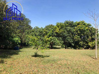 Terreno, 5000 m² - Foto 4
