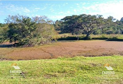 Sítio, 19 hectares - Foto 1